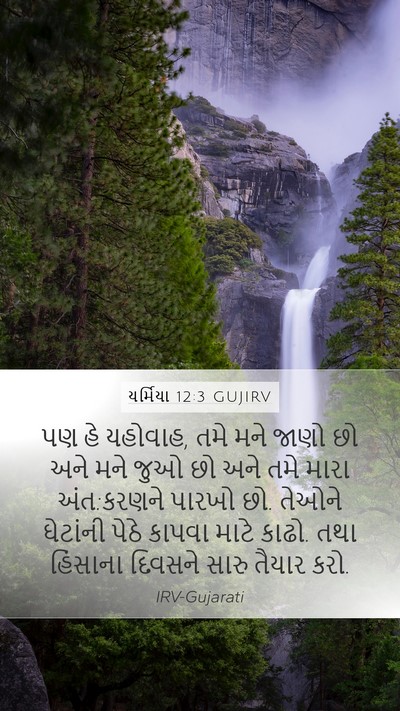 યર્મિયા 12:3 GUJIRV Bible Verse Image