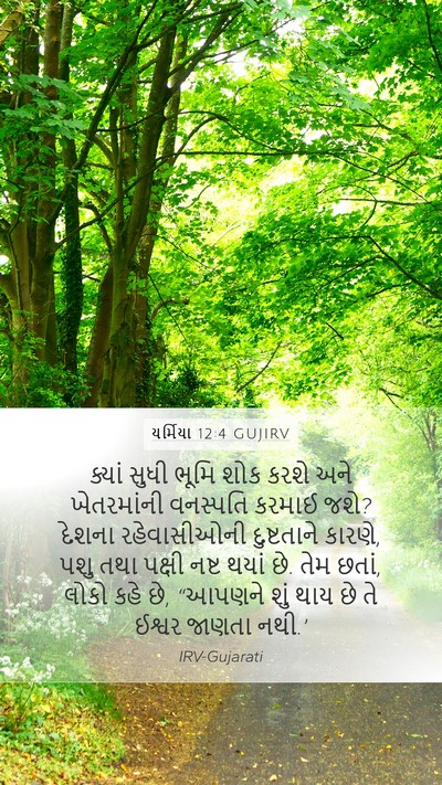 યર્મિયા 12:4 GUJIRV Bible Verse Image