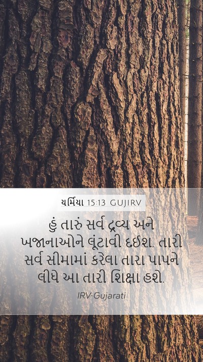 યર્મિયા 15:13 GUJIRV Bible Verse Image