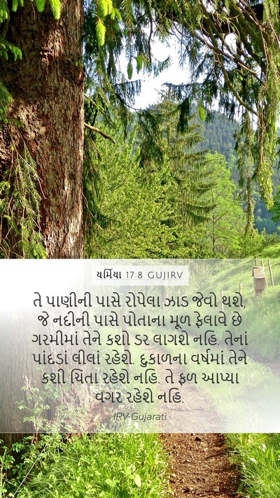 યર્મિયા 17:8 GUJIRV Bible Verse Image