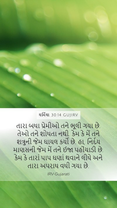 યર્મિયા 30:14 GUJIRV Bible Verse Image