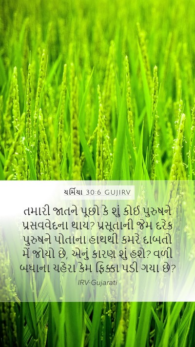 યર્મિયા 30:6 GUJIRV Bible Verse Image