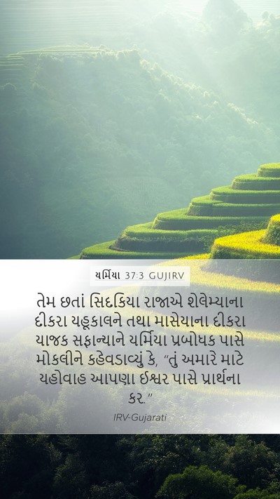 યર્મિયા 37:3 GUJIRV Bible Verse Image