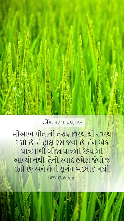 યર્મિયા 48:11 GUJIRV Bible Verse Image