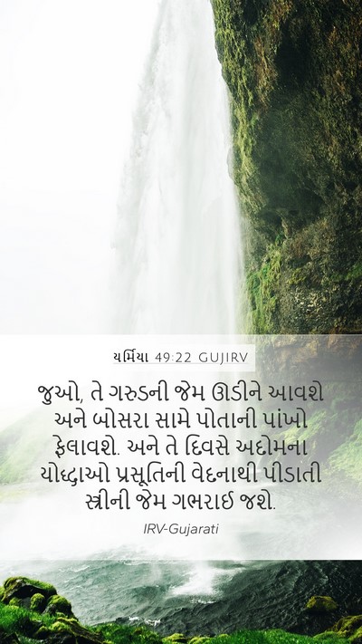 યર્મિયા 49:22 GUJIRV Bible Verse Image