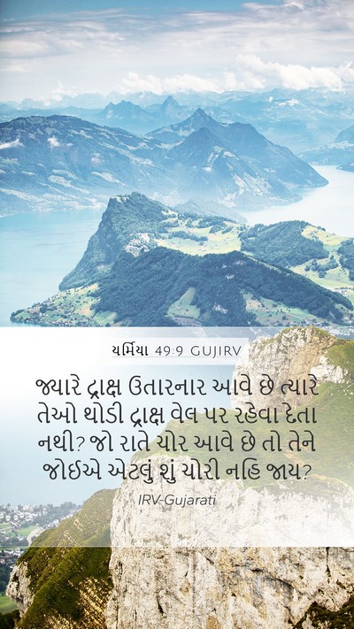 યર્મિયા 49:9 GUJIRV Bible Verse Image