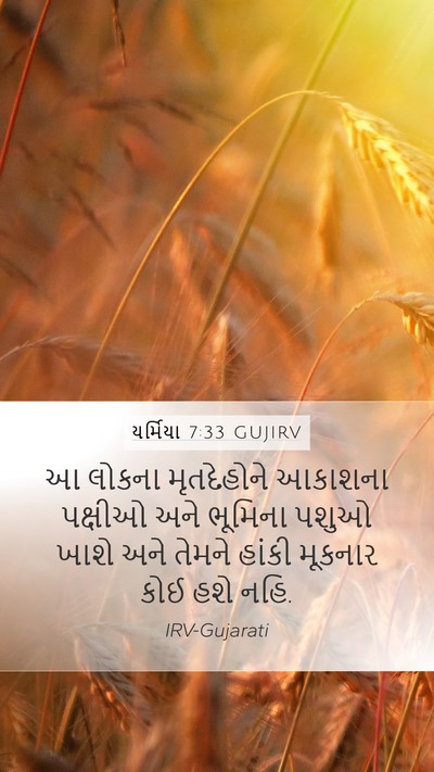 યર્મિયા 7:33 GUJIRV Bible Verse Image