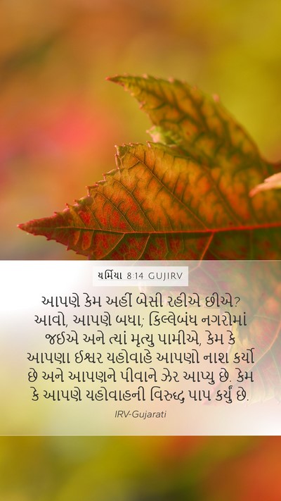 યર્મિયા 8:14 GUJIRV Bible Verse Image