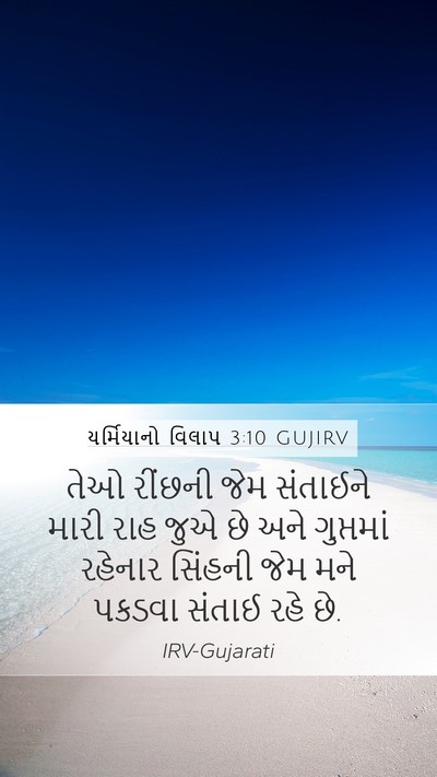 યર્મિયાનો વિલાપ 3:10 GUJIRV Bible Verse Image