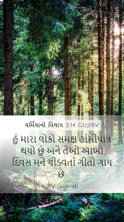 યર્મિયાનો વિલાપ 3:14 GUJIRV Bible Verse Image