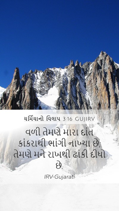 યર્મિયાનો વિલાપ 3:16 GUJIRV Mobile Phone Wallpaper - વળી તેમણે મારા - Mobile Bible Verse Wallpaper