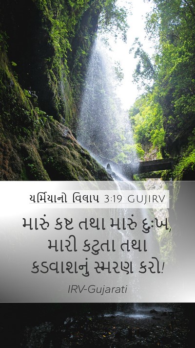 યર્મિયાનો વિલાપ 3:19 GUJIRV Bible Verse Image