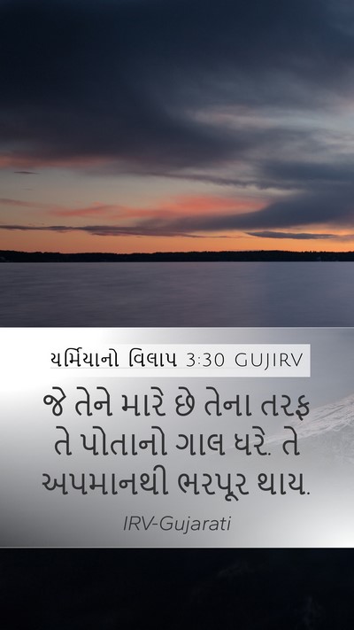 યર્મિયાનો વિલાપ 3:30 GUJIRV Bible Verse Image
