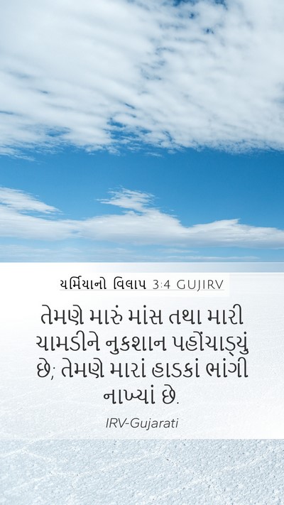 યર્મિયાનો વિલાપ 3:4 GUJIRV Bible Verse Image