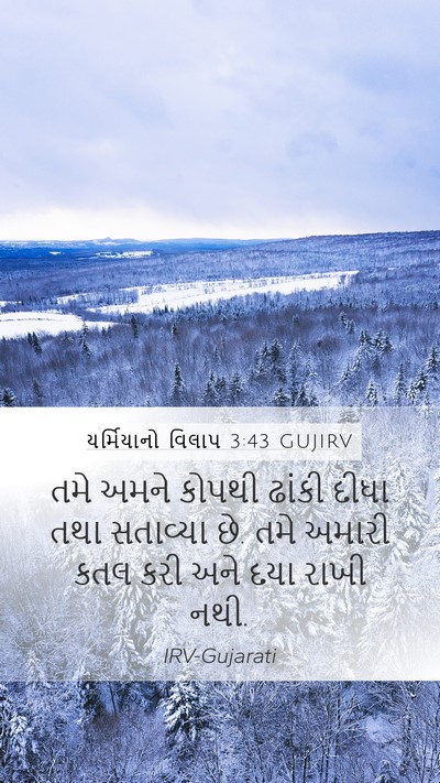 યર્મિયાનો વિલાપ 3:43 GUJIRV Bible Verse Image