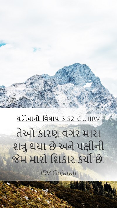 યર્મિયાનો વિલાપ 3:52 GUJIRV Bible Verse Image
