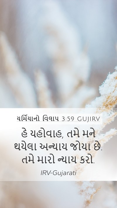 યર્મિયાનો વિલાપ 3:59 GUJIRV Bible Verse Image
