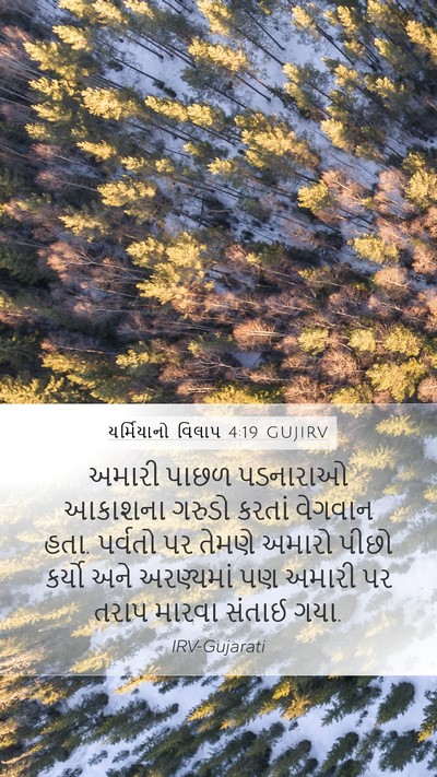 યર્મિયાનો વિલાપ 4:19 GUJIRV Bible Verse Image