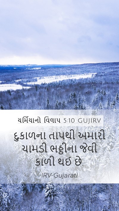 યર્મિયાનો વિલાપ 5:10 GUJIRV Bible Verse Image
