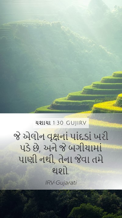 યશાયા 1:30 GUJIRV Bible Verse Image