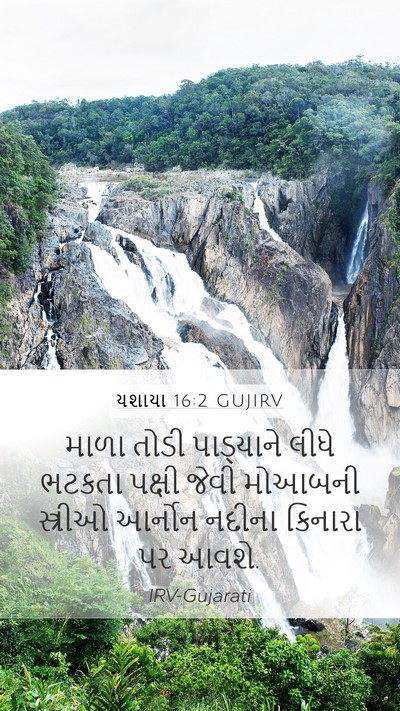 યશાયા 16:2 GUJIRV Bible Verse Image