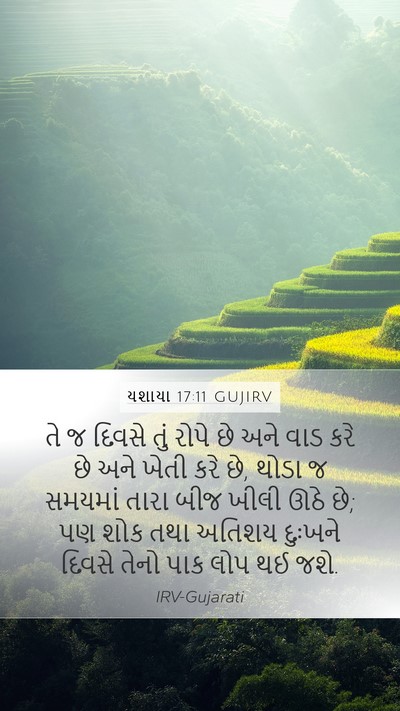 યશાયા 17:11 GUJIRV Bible Verse Image