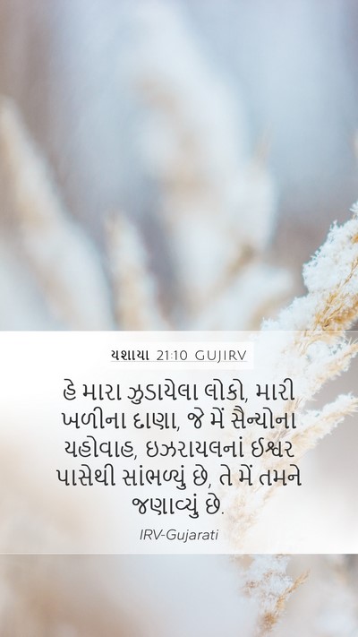 યશાયા 21:10 GUJIRV Bible Verse Image