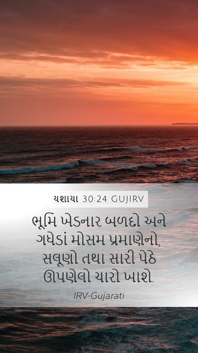 યશાયા 30:24 GUJIRV Bible Verse Image