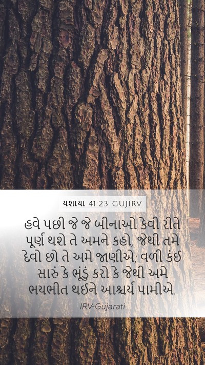 યશાયા 41:23 GUJIRV Bible Verse Image