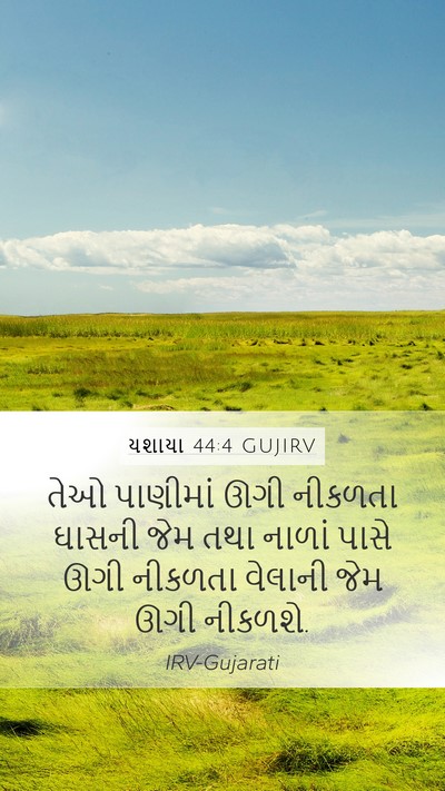 યશાયા 44:4 GUJIRV Bible Verse Image