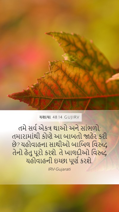 યશાયા 48:14 GUJIRV Bible Verse Image