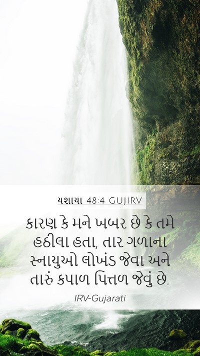 યશાયા 48:4 GUJIRV Bible Verse Image