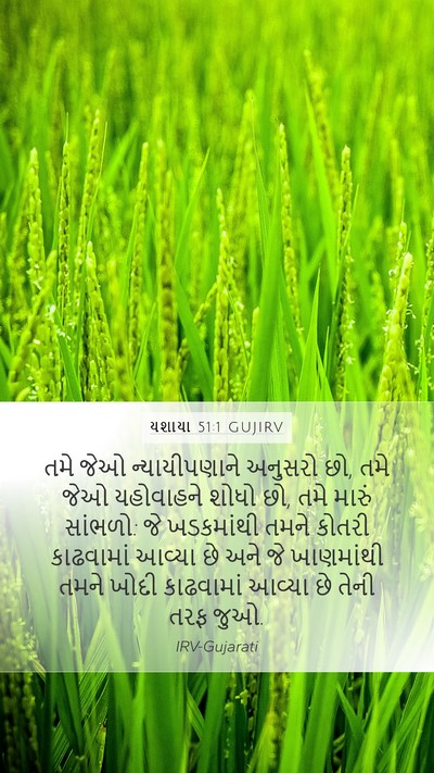 યશાયા 51:1 GUJIRV Mobile Phone Wallpaper - તમે જેઓ - Mobile Bible Verse Wallpaper
