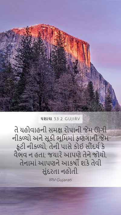 યશાયા 53:2 GUJIRV Bible Verse Image