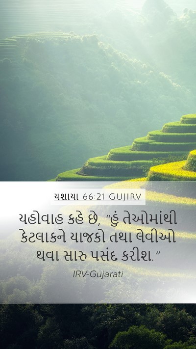 યશાયા 66:21 GUJIRV Bible Verse Image