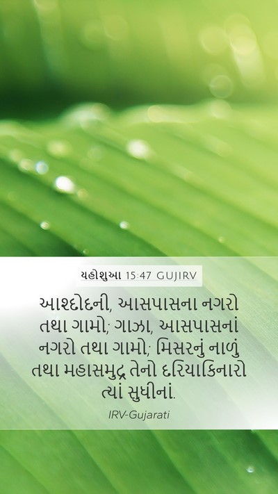 યહોશુઆ 15:47 GUJIRV Mobile Phone Wallpaper - આશ્દોદની, આસપાસના - Mobile Bible Verse Wallpaper