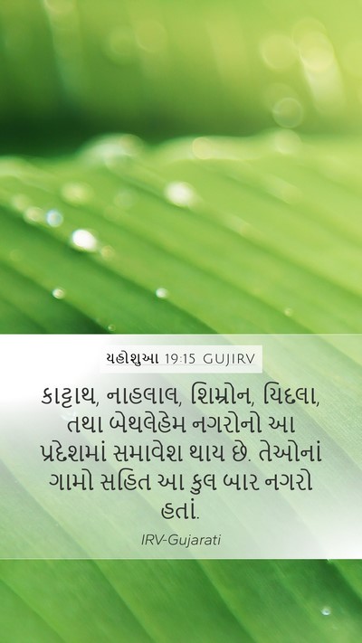 યહોશુઆ 19:15 GUJIRV Bible Verse Image