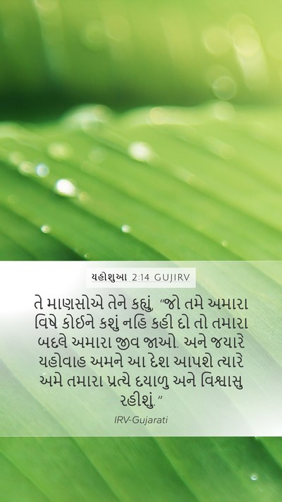 યહોશુઆ 2:14 GUJIRV Bible Verse Image