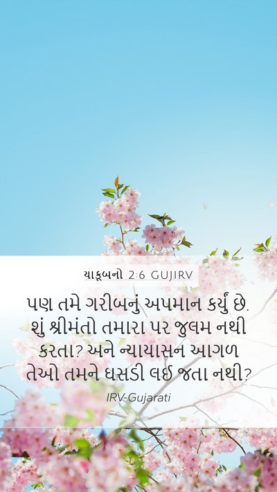 યાકૂબનો 2:6 GUJIRV Bible Verse Image