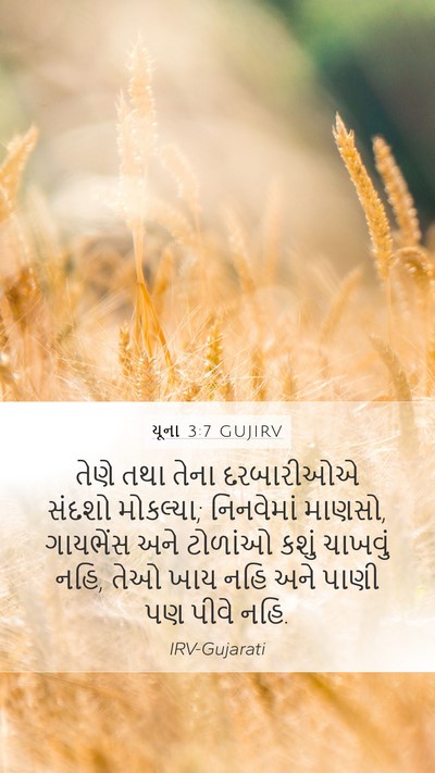 યૂના 3:7 GUJIRV Bible Verse Image