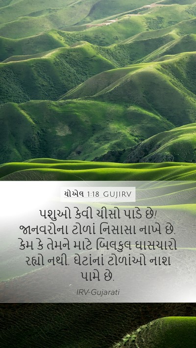 યોએલ 1:18 GUJIRV Bible Verse Image