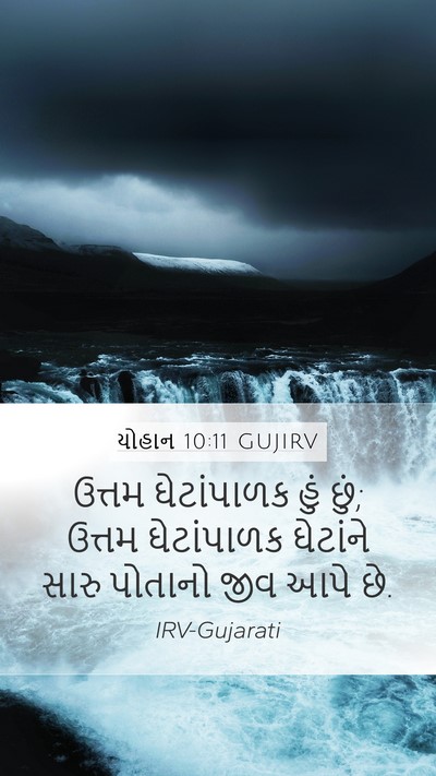 યોહાન 10:11 GUJIRV Bible Verse Image