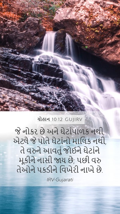યોહાન 10:12 GUJIRV Bible Verse Image