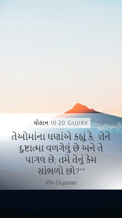 યોહાન 10:20 GUJIRV Bible Verse Image