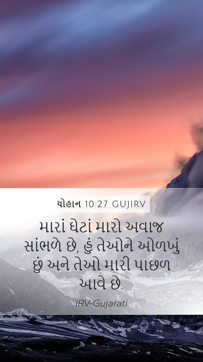 યોહાન 10:27 GUJIRV Bible Verse Image