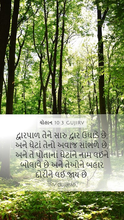 યોહાન 10:3 GUJIRV Bible Verse Image