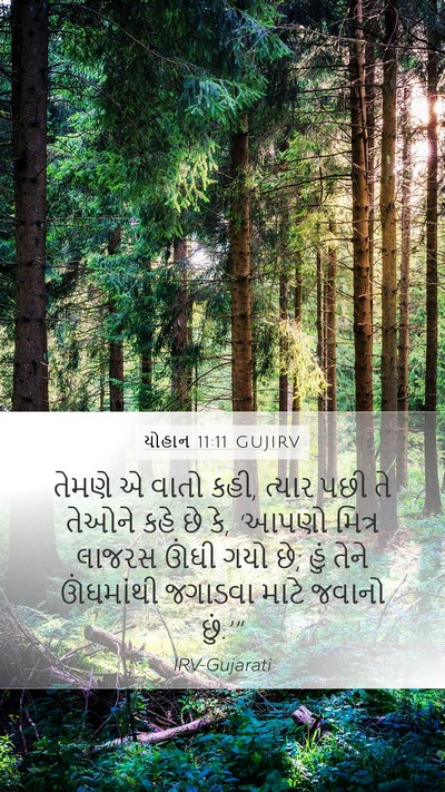યોહાન 11:11 GUJIRV Bible Verse Image