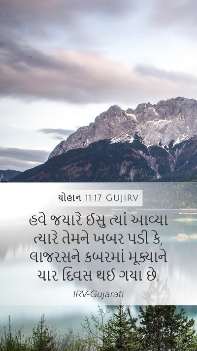 યોહાન 11:17 GUJIRV Bible Verse Image