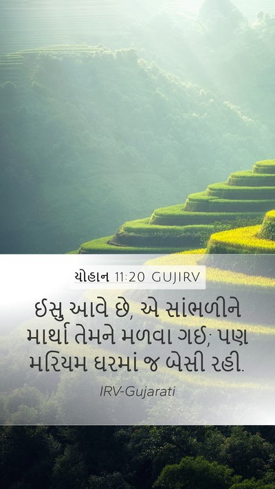 યોહાન 11:20 GUJIRV Bible Verse Image