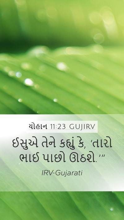 યોહાન 11:23 GUJIRV Bible Verse Image